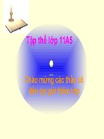 đại cương đương thẳng và mặt phẳng