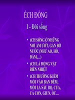 Ếch đồng