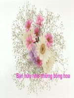 Bạn hữu như những bông hoa