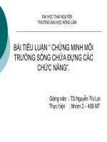 chức năng của môi trường