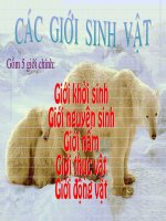 các giới sv