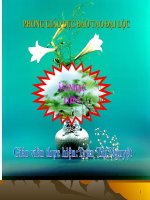 Âm nhạc 5: Reo vang bình minh