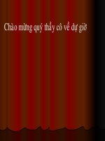 Tiết 54 : Phong Trào Tây sơn