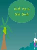 Bé chọn quả nào?