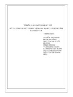 Tổng quát về virus viêm gan b (hbv) và bệnh viêm gan siêu vi b