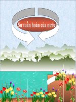 ĐỀ TÀI: BÉ TÌM HIỂU SỰ TUẦN HOÀN CỦA NƯỚC