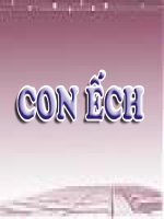 Bai con ech