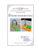 giáo trình lập trình roboteasyrobot