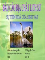 Sự phát triển của sinh giới qua các đại địa chất