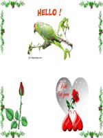 lực ma sát mới nhất