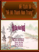 Hoa Đào Năm Ngoái