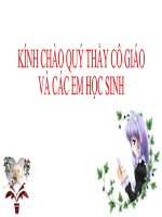 vẽ theo mẫu tiết 15