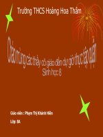 Quá trinhg Nguyên Phân