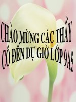 chuyen de on tạp thi THPT:ren ki nang