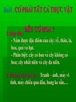 CÓ PHẢI TẤTT CẢ THỰC VẬT  ĐỀU CÓ HOA