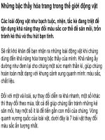 nghệ thuật hóa trang