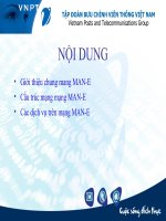 Dịch vụ,công nghệ MANE