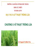 CHƯƠNG 5. KỸ THUẬT TRỒNG LÚA