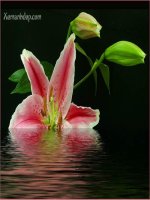 TONG BA GOC CUA TAM GIAC T2