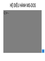 Một số hệ điều hành thông dụng