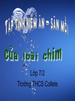 tập tính chim săn mồi