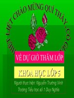 Khoa học: Sử dụng năng lượng gió