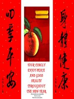 Chúc Mừng Năm Mới 2010