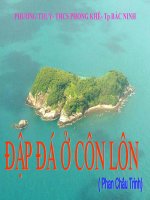 Đập đá ở Côn Lôn( Phan Chu Trinh)