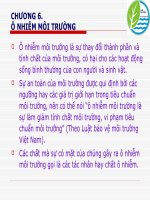 Môi trường & Con người - P6