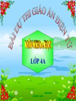 Bài dự thi giáo án điện tử khoa học lớp 4