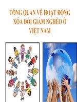 Tổng quan về hoạt động xóa đói giảm nghèo ở việt nam hiện nay