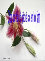 Bài 7 : Ca dao hài hước