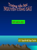 Sinh sản của động vật