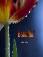 You are Beautiful to Me