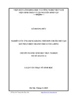 Nghiên cứu ứng dụng kháng thể đơn chuỗi chế tạo KIT phát hiện nhanh virus cúm A H5N1