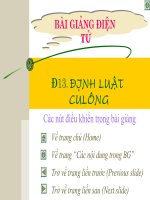 dinh luat Culong