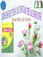 Bài 26: Sinh trưởng của vi sinh vật