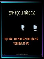 xem phim ve tap tinh ĐV- lop 11