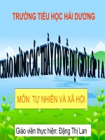 NHAN BIET CAY COI VA CON VAT