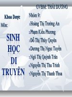 Bài thuyết trình virus