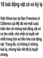 10 ĐỘNG VẬT CÓ VÚ LẠ NHẤT THẾ GIỚI