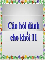 Ngoại khoá Tổ  Văn - Anh văn khối 11