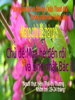 Mạng chủ đề tháng 5