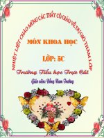 sự nuôi và dạy con của một số loài thú