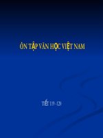 ôn tập văn học việt nam