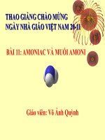 Amoniac và muối amoni