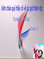 an toàn khi đi các phương tiện giao thông