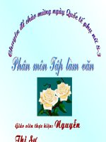 Chuyên đề dạy TLV