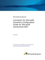 Connector for Microsoft Dynamics: Configuration Guide for Microsoft Dynamics NAV