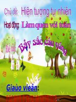 LQVT: Bảy sắc cầu vồng